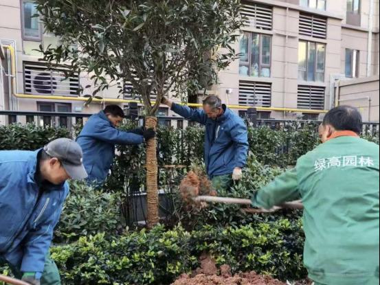 1436028014545816_content.jpg 1436028014545816_content.jpg